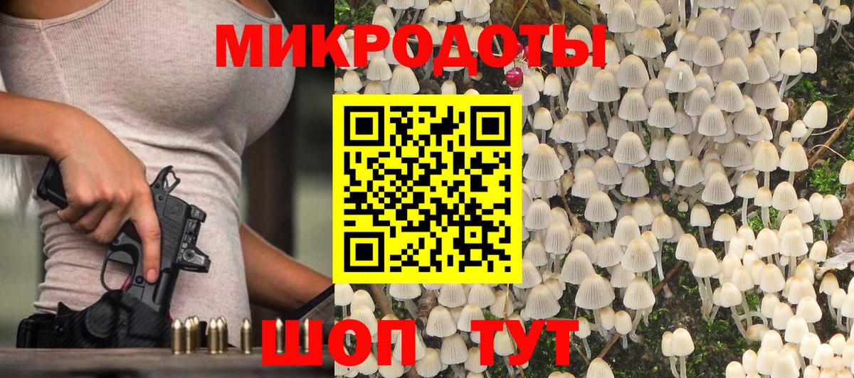 Дербент  Псилоцибиновые грибы прущие грибы  Вход с VPN  Псилоцибиновые грибы Psilocybe 