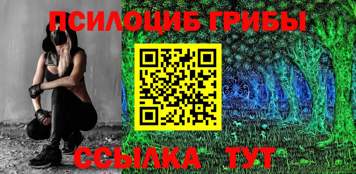 Псилоцибиновые грибы Psilocybine cubensis Дербент